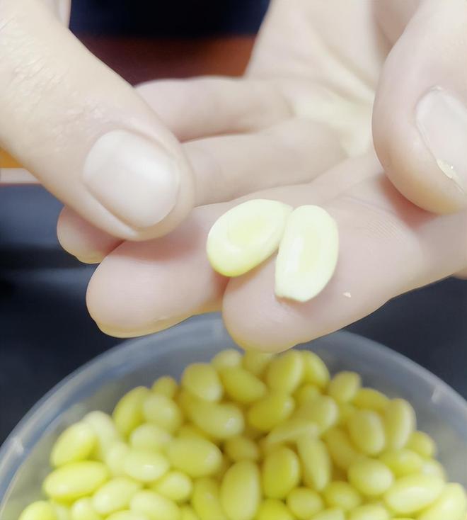 小白做豆腐害怕设备故障耽误生意？这台豆腐机很靠谱(图1)